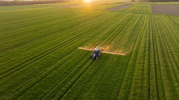 A tractor sprays fertilizer across a vast green agricultural field at sunset. The golden light enhances the serene rural landscape and orderly crop rows.