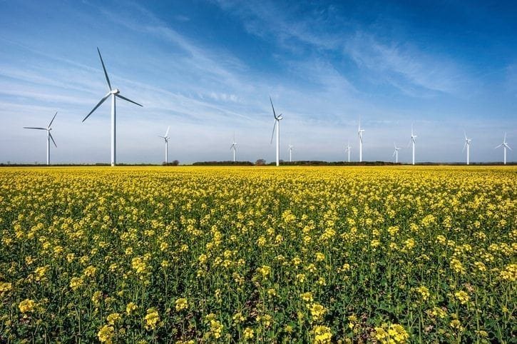 A modern wind farm in a field of oil seed rape on a fine spring morning near the market town of Beverley, Yorkshire, UK