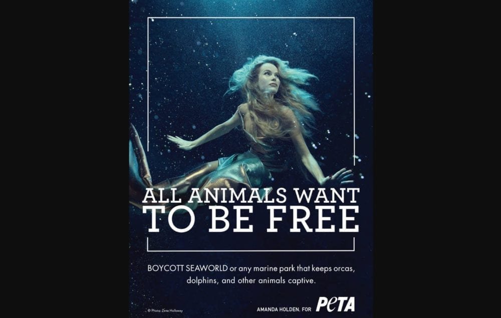 Amanda Holden for PETA