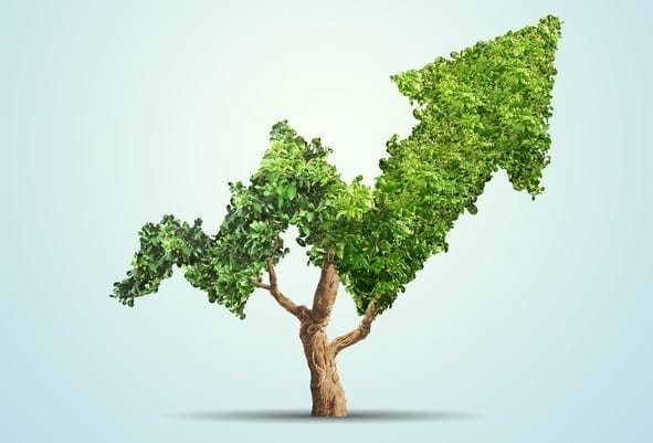 Boost profits: go green