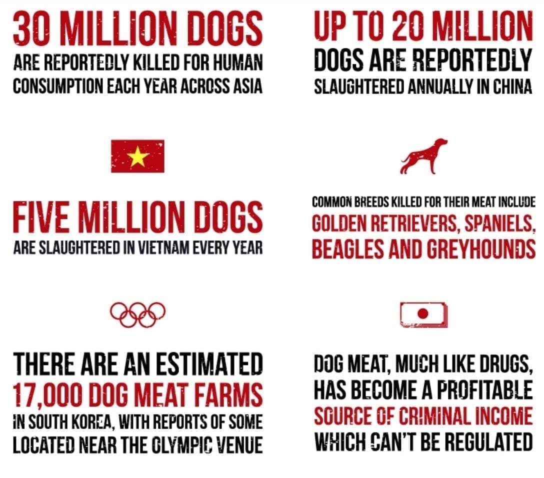 Dog meat trade - the facts