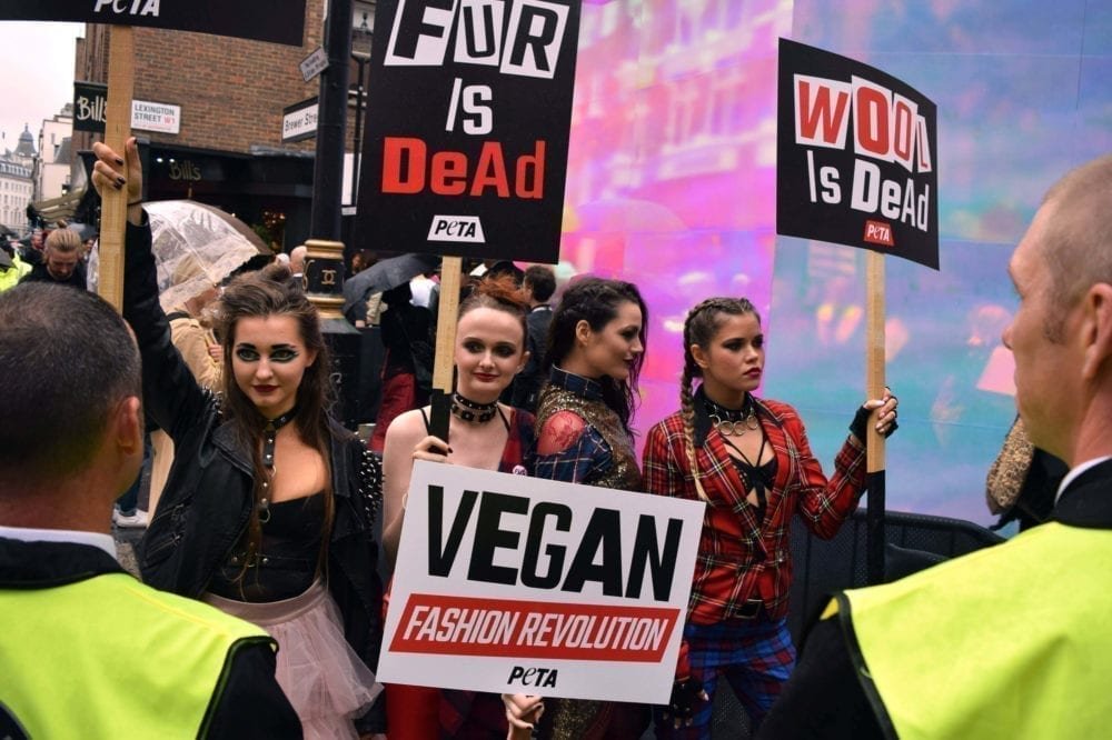 Vegan fashion revolution