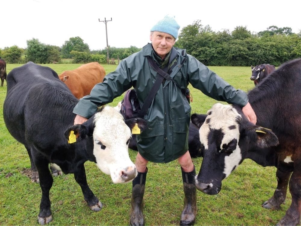 Jay with cows