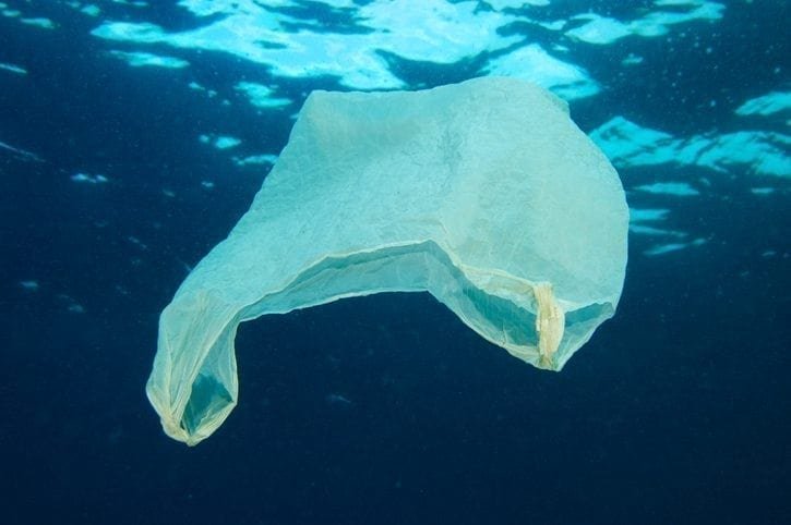 Marine life shreds plastic bags into 1.75m pieces