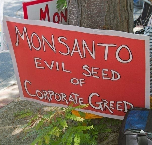 An anti-Monsanto sign at GMO protest rally in 2014, downtown Asheville