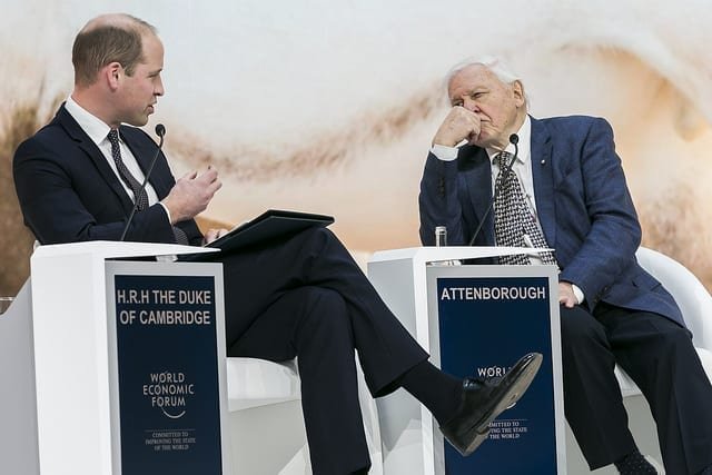 Prince William and Sir David Attenborough at Davos