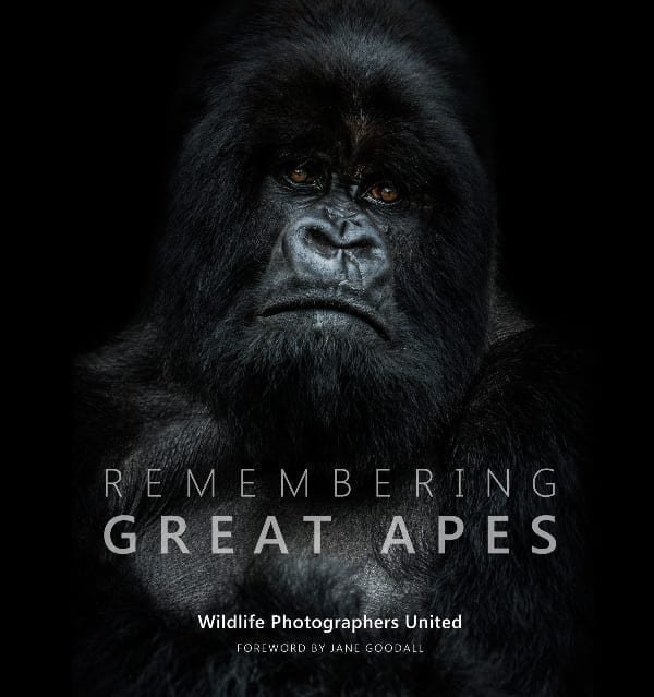 Remembering Great Apes book