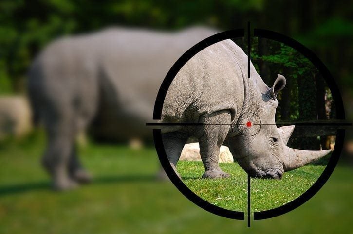 Tech giants tackle wildlife trafficking
