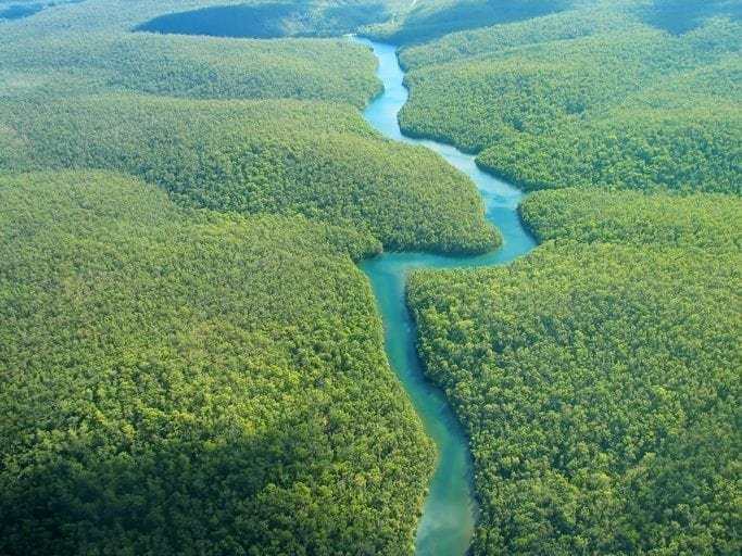 The amazing Amazon