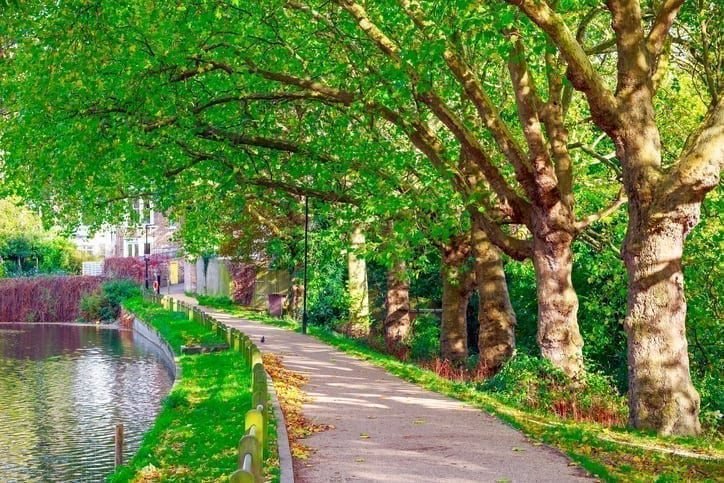 Walking path at Hampstead Heath in London