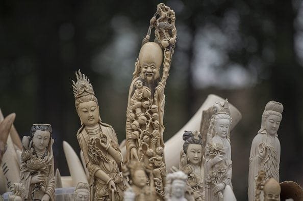 Carved ivory is shown to the media before being destroyed in Beijing in May 2015