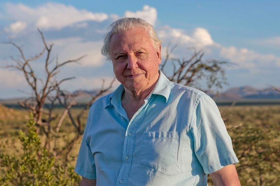 attenborough Picture from MyGreenPod Sustainable News