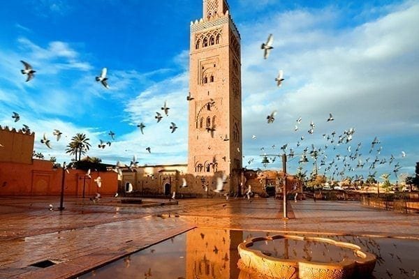 Climate talks commence in Marrakech