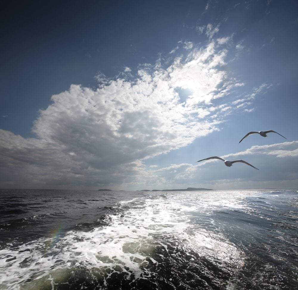 Sea Picture from MyGreenPod Sustainable News