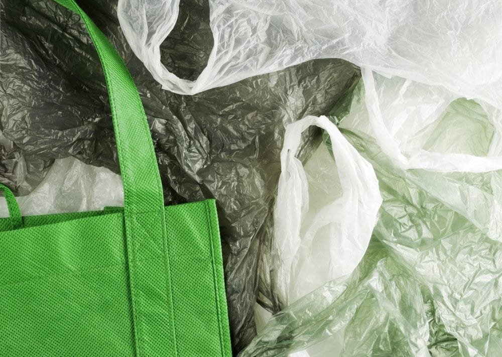 Green Bag Picture from MyGreenPod Sustainable News