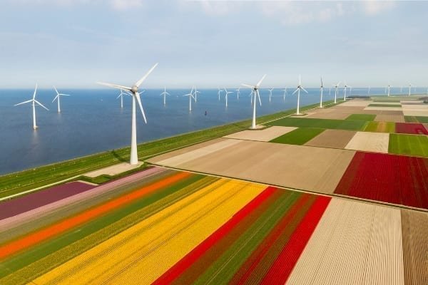 Aerial view of tulip fields and wind turbines in the Noordoostpolder municipality, Flevoland