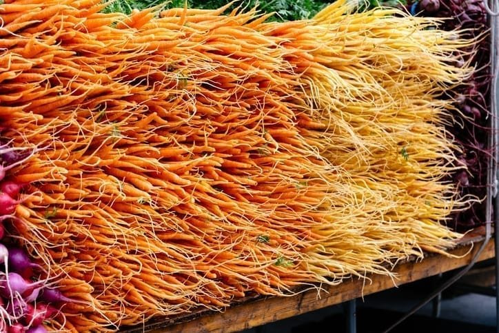 Sugar beet, potatoes and carrots made up more than half of the UK's overall food waste by weight