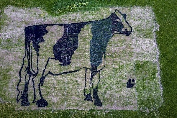 Yeo Valley's manure mural celebrates organic farming