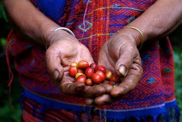 Fairtrade's Menu for Change