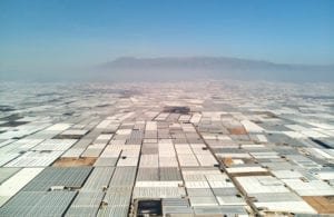 Greenhouses in Almeria supply fruit and veg to UK supermarkets