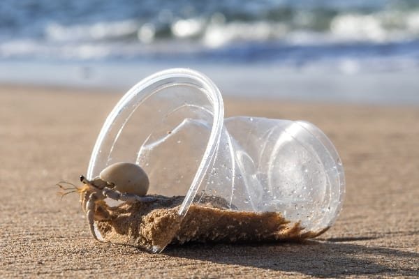 Microplastics in the sea