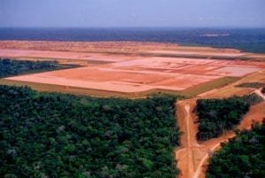 Shops: stop funding deforestation