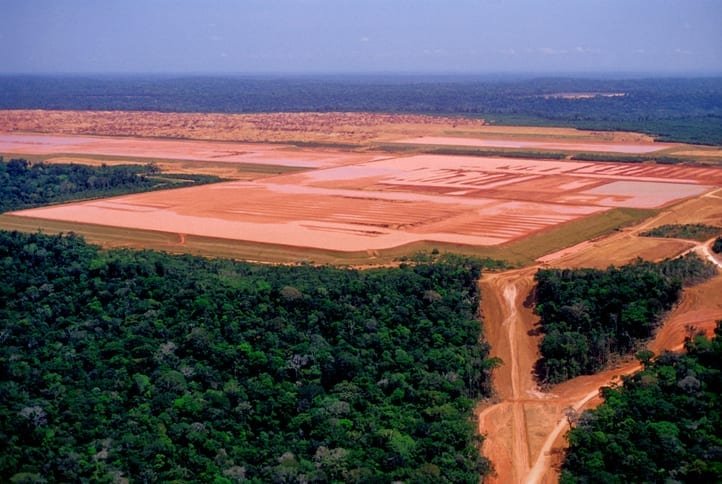 Shops: stop funding deforestation