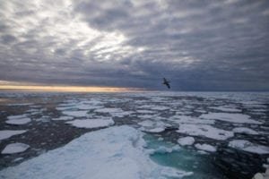Arctic in decline