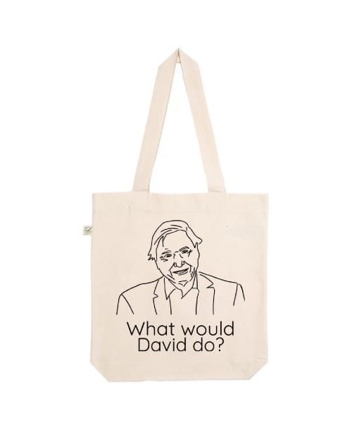 Artful Sonder What Would David Do Tote Bag