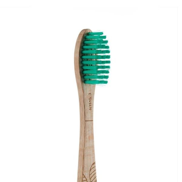 Georganics-Natural-Beechwood-Toothbrush-Medium-Bristles-600-x-600-Image-4