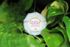 Rush-Organics-Shampoo-Bar