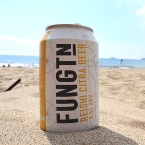 Fungtn Relishi Citra Beer Can Lifestyle