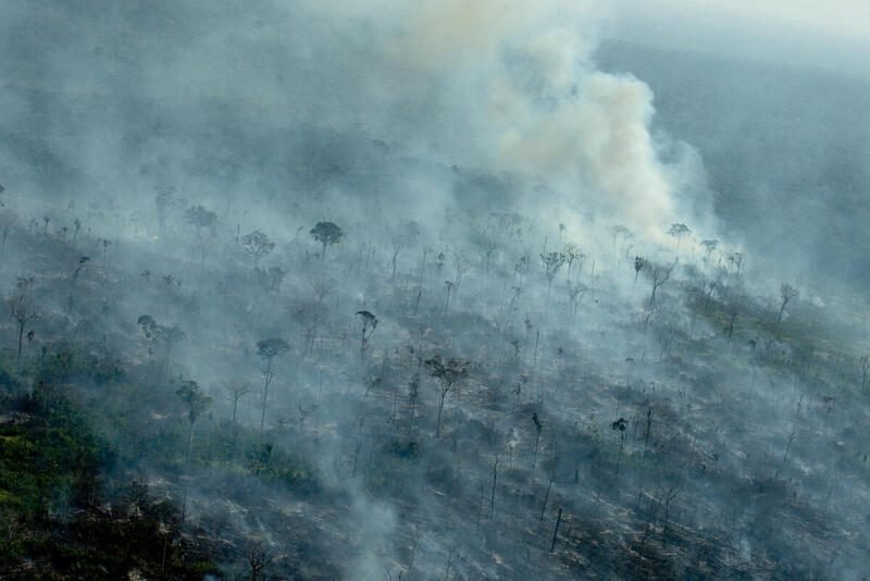 Clearing the Amazon