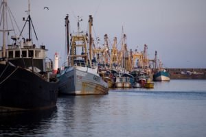 Climate-smart fisheries