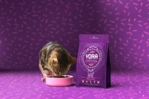 Yora Cat Food Competition