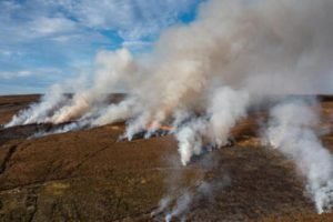 Surge in peatland fires