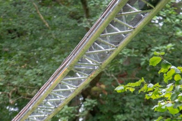 The aerial dormouse bridge