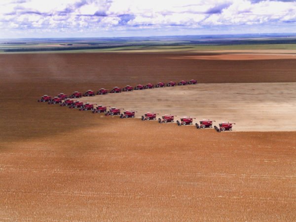 Mass soybean harvesting at a farm in Campo Verde, Mato Grosso
