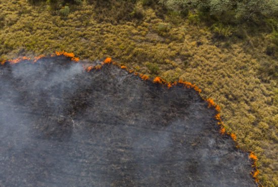Drone view of burning pasture in Brazil on dry season