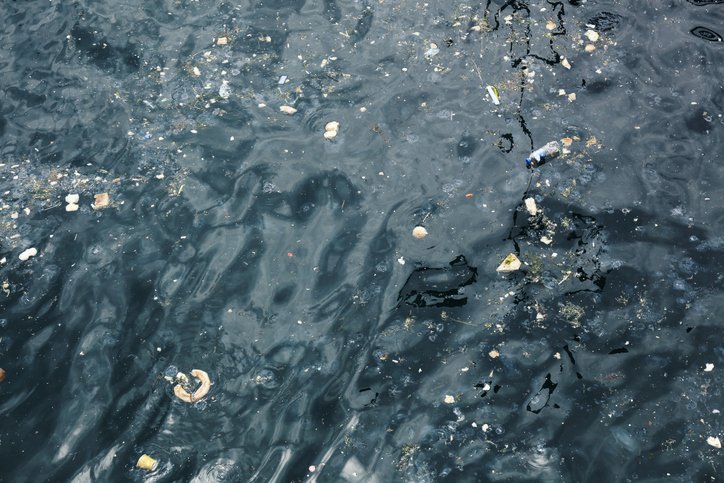 Fragments of plastic litter floating in water