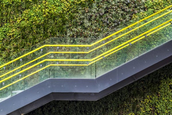 Side view of a modern staircase in Manchester with a living plant background