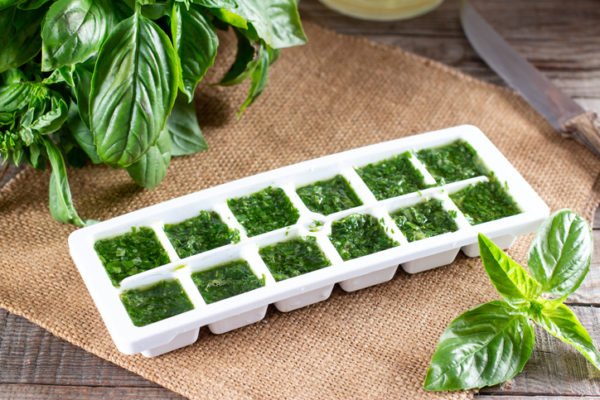 Frozen basil leaves in an ice-cube tray with fresh basil on a wooden table