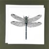 Gift Wild Dragonfly Greeting Card