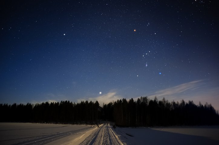 Orion constellation and Sirius above forest in winter sky
