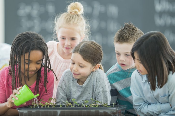 A multi-ethnic group of elementary age school children look curiously as they learn to water small plants inside a classroom garden.