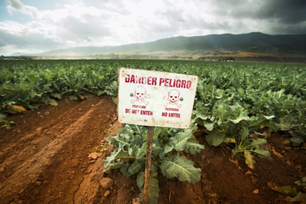 Pesticide warning sign on fertile farm land
