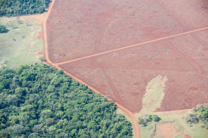 Aerial view of deforested area of Mato Grosso, Brazil