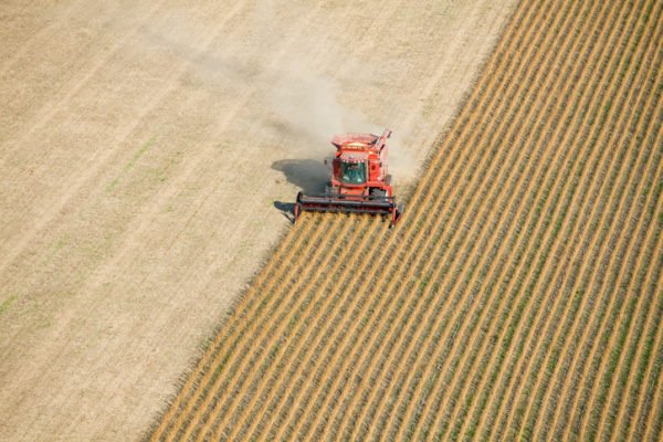 An aerial view of a red combine harvesting a soybean field