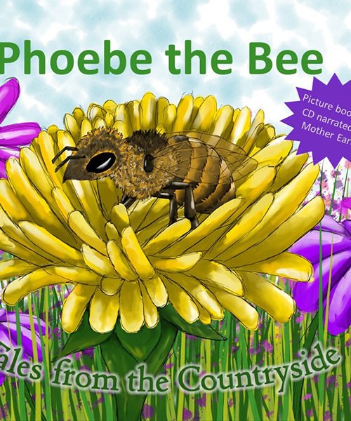 Phoebe the Bee