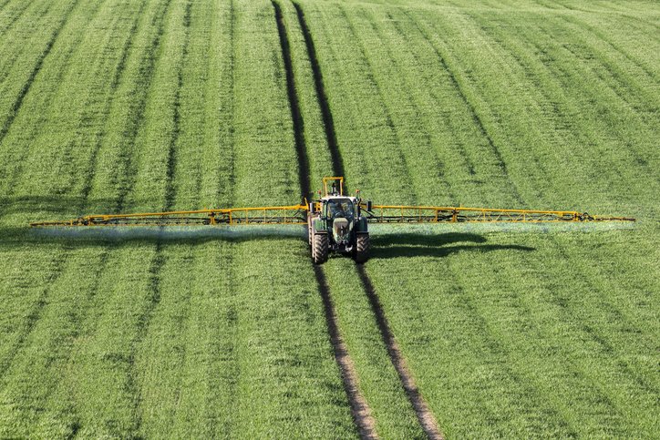 Aerial view of fertiliser being sprayed on wheat crop in North Yorkshire